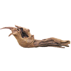 Decorline Driftwood Misura cm40x17x13h Foto Reale cod.DW53