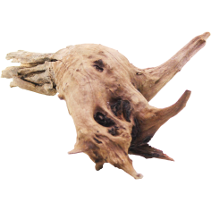 Decorline Driftwood Misura cm40x17x13h Foto Reale cod.DW53 2