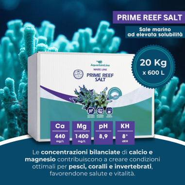 AquariumLine Prime Reef Salt cartone 20kg per...