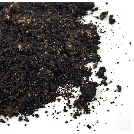 Wio Sticky Base Terrabed 900gr - Substrato fertile autoaderente per terrari