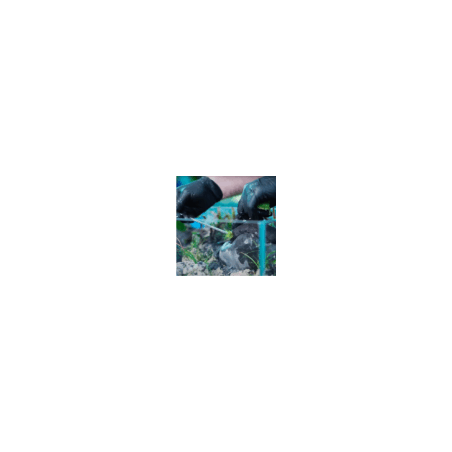 Wio Sticky Base Terrabed 900gr - Substrato fertile autoaderente per terrari