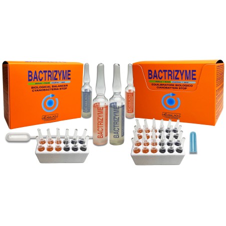 EQUO Bactrizyme 12 Fiale da 5ml - Attivatore batterico per l'equilibrio Biologico