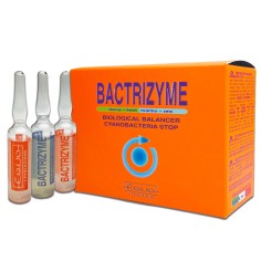 EQUO Bactrizyme 24 Fiale da 5ml - Attivatore batterico... 2