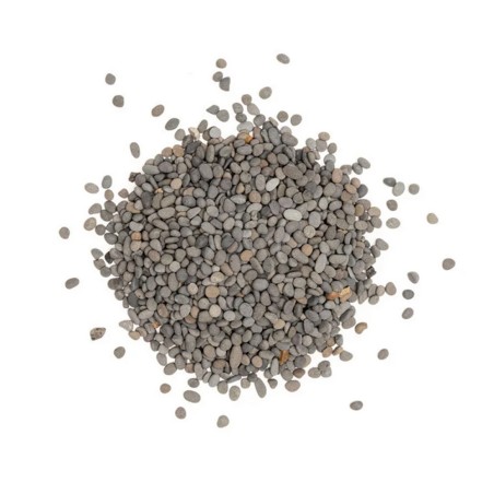 AqPet Wild Sand 2-3mm 5kg - sabbia naturale per acqua dolce AqPet Wild Sand 2-3mm 5kg - sabbia naturale per acqua dolce