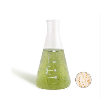 Bea Mesocosmo Macro 1000ml - coltura di...