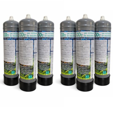 Bombola Co2 usa e getta da 600gr - Set da 6 Pezzi