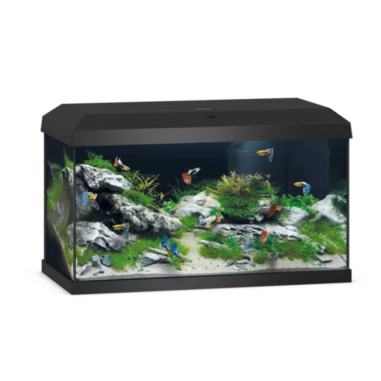 Juwel Primo LED 60 2.0 - Acquario completo 57L...