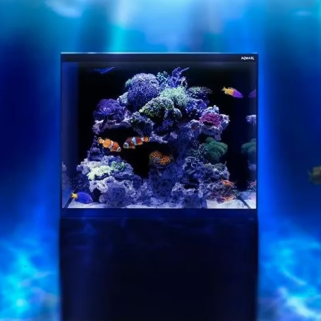 Aquael Set Glossy Marine 60 Nero - acquario 170L cm60x58x50h completo di supporto e skimmer
