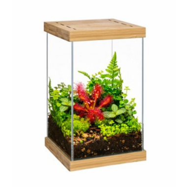 Aquael Selva Mini Terrarium - micro-ecosistema...