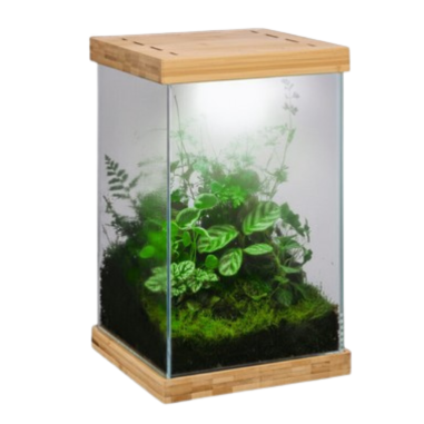 Aquael Selva Mini Terrarium - micro-ecosistema...