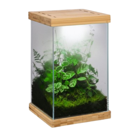 Aquael Selva Mini Terrarium - micro-ecosistema cm20x20x30h con illuminazione LED