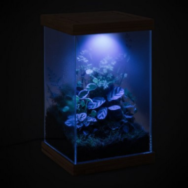 Aquael Selva Mini Terrarium - micro-ecosistema...
