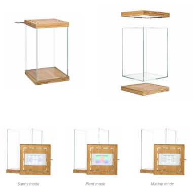 Aquael Selva Mini Terrarium - micro-ecosistema...