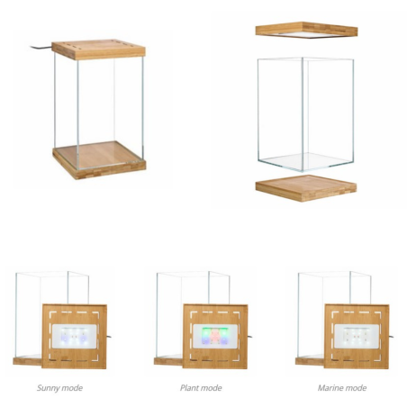 Aquael Selva Mini Terrarium - micro-ecosistema cm20x20x30h con illuminazione LED