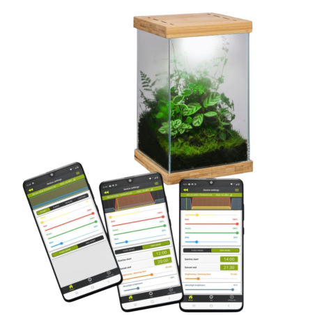 Aquael Selva Mini Terrarium - micro-ecosistema cm20x20x30h con illuminazione LED