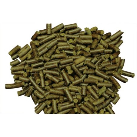 Dennerle Shrimp King Snail Stick 45gr - Mangime completo per lumache