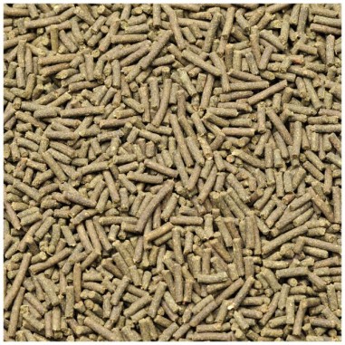 Dennerle Shrimp King Cambarellus 45gr - Mangime...