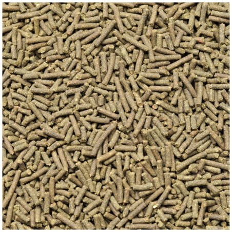 Dennerle Shrimp King Cambarellus 45gr - Mangime per gamberi nani
