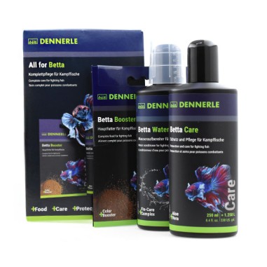Dennerle All for Betta - Kit di mangimi e...