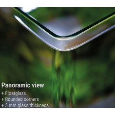 Dennerle Nano Cube 10L - Mini acquario con vetro... 2