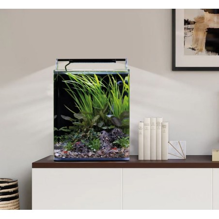 Dennerle Nano Cube Basic 20L - Mini acquario panoramico cm25x25x30h con filtro e LED