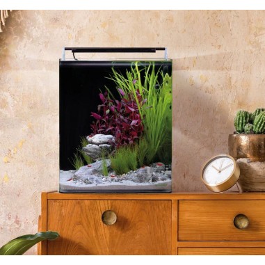 Dennerle Nano Cube Basic 30L - Mini acquario...