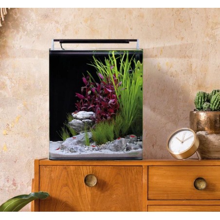 Dennerle Nano Cube Basic 30L - Mini acquario panoramico cm30x30x35h con filtro e LED