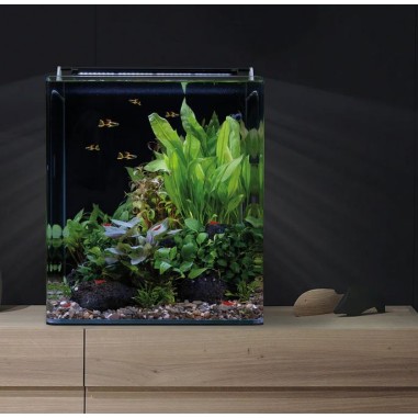 Dennerle Nano Cube Basic 60L - Mini acquario...