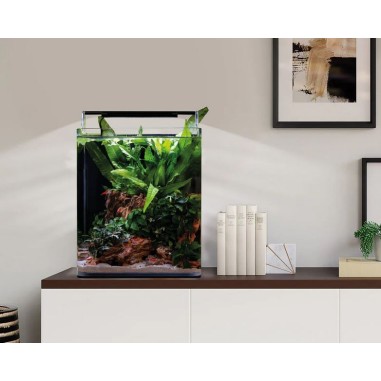 Dennerle Nano Cube Complete 20L - Mini acquario...