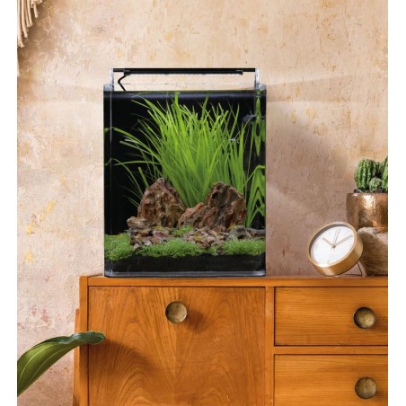 Dennerle Nano Cube Complete 30L - Mini acquario panoramico cm30x30x35h con filtro, substrato e LED
