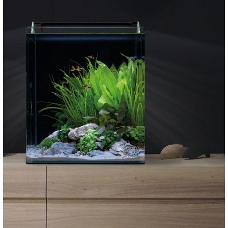 Dennerle Nano Cube Complete 60L - Mini acquario panoramico cm38x38x43h con filtro, substrato e LED