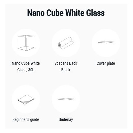 Dennerle Nano Cube White Glass 30L - Mini acquario con vetro panoramico extrachiaro cm30x30x35h