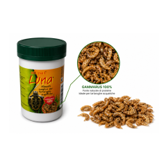 Luna Gammarus 17g - gamberetti essiccati per Tartarughe... 2