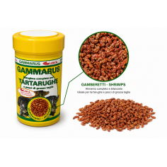 Gisaro Gammarus 100ml/10g - gamberetti essiccati per... 2