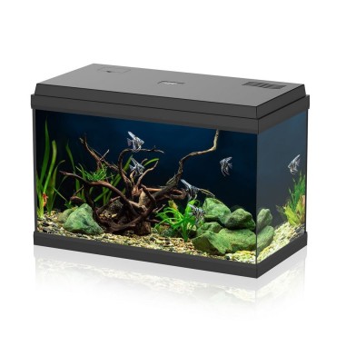 ARTICOLO USATO Aqpet Simply LED 60 nero -...