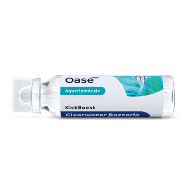 Oase Kickboost Clearwater Bacteria 30ml –...