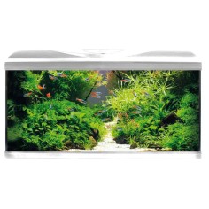 Amtra Basic LED 80 Bianco - Acquario con filtro e... 2