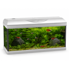 Amtra Basic LED 80 Bianco - Acquario con filtro e...