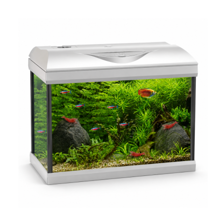 Amtra Basic LED 60 Bianco - Acquario con filtro e illuminazione 55L cm60×30×42h