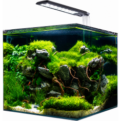 Amtra Nanotank System 60 LED – Acquario 60L cm38x38x43h... 2