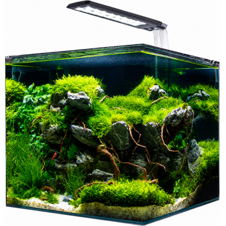 Amtra Nanotank System 20 LED – Acquario 18L cm25x25x30h completo con illuminazione e filtro