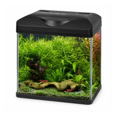 Amtra Laguna 30 LED – Acquario panoramico 18L...