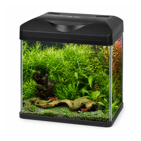 Amtra Laguna 40 LED – Acquario panoramico 30L cm38x26x41,5h completo con illuminazione e filtro