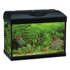 ARTICOLO DANNEGGIATO Amtra Basic LED 40 Nero - Acquario...