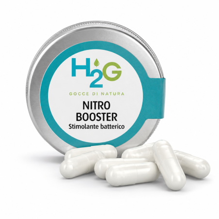 GreenVet H2G Nitro Booster 20pz – stimolante batterico per acquari piantumati