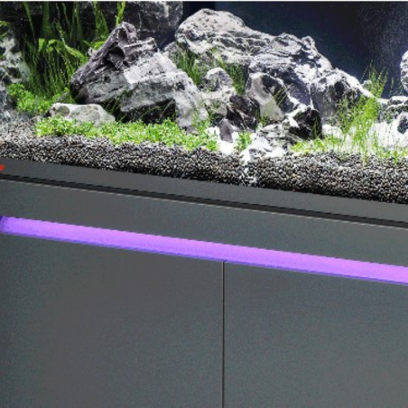EHEIM Incpiria Pure 530 Graphit/Nature - acquario 530L cm160x60x65h con supporto e LED