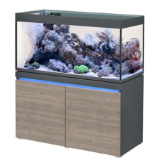Eheim Incpiria Reef 430 Graphit/Rustic Oak - acquario...
