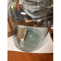 Terrario Bottle Garden Jar 5L cm18,5x18,5x26,3h - terrario in barattolo di vetro 2