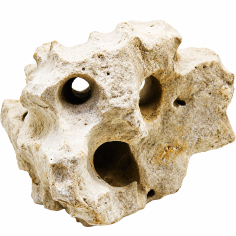 Whimar White Holestone Rock Foto Reale Misure 17x17x22h Peso 3,58kg Cod. WWH01