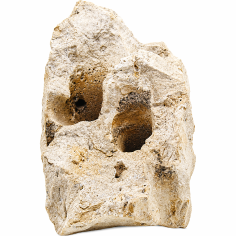 Whimar White Holestone Rock Foto Reale Misure 17x17x22h Peso 3,58kg Cod. WWH01 2